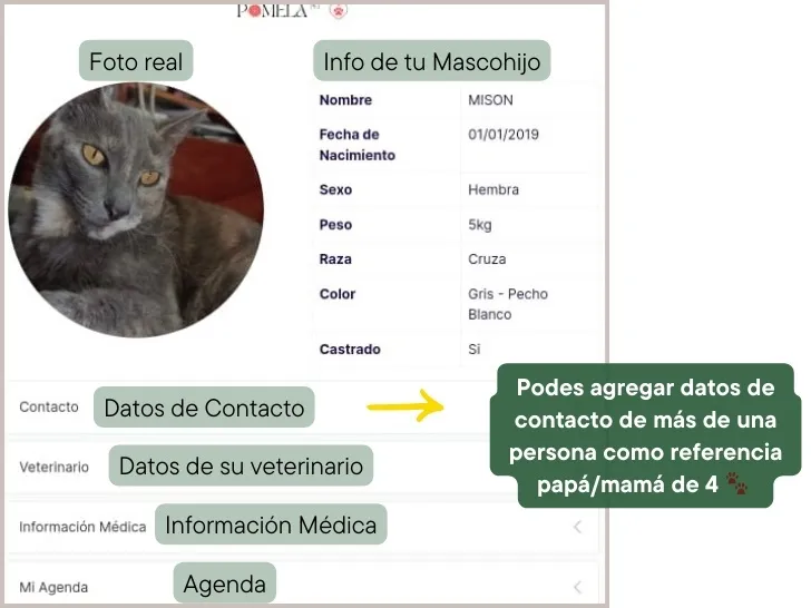 Como Funciona 2