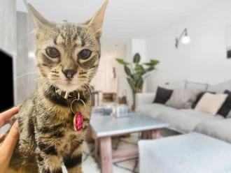 Como comprar en la web 2