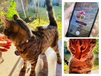 Como comprar en la web 3